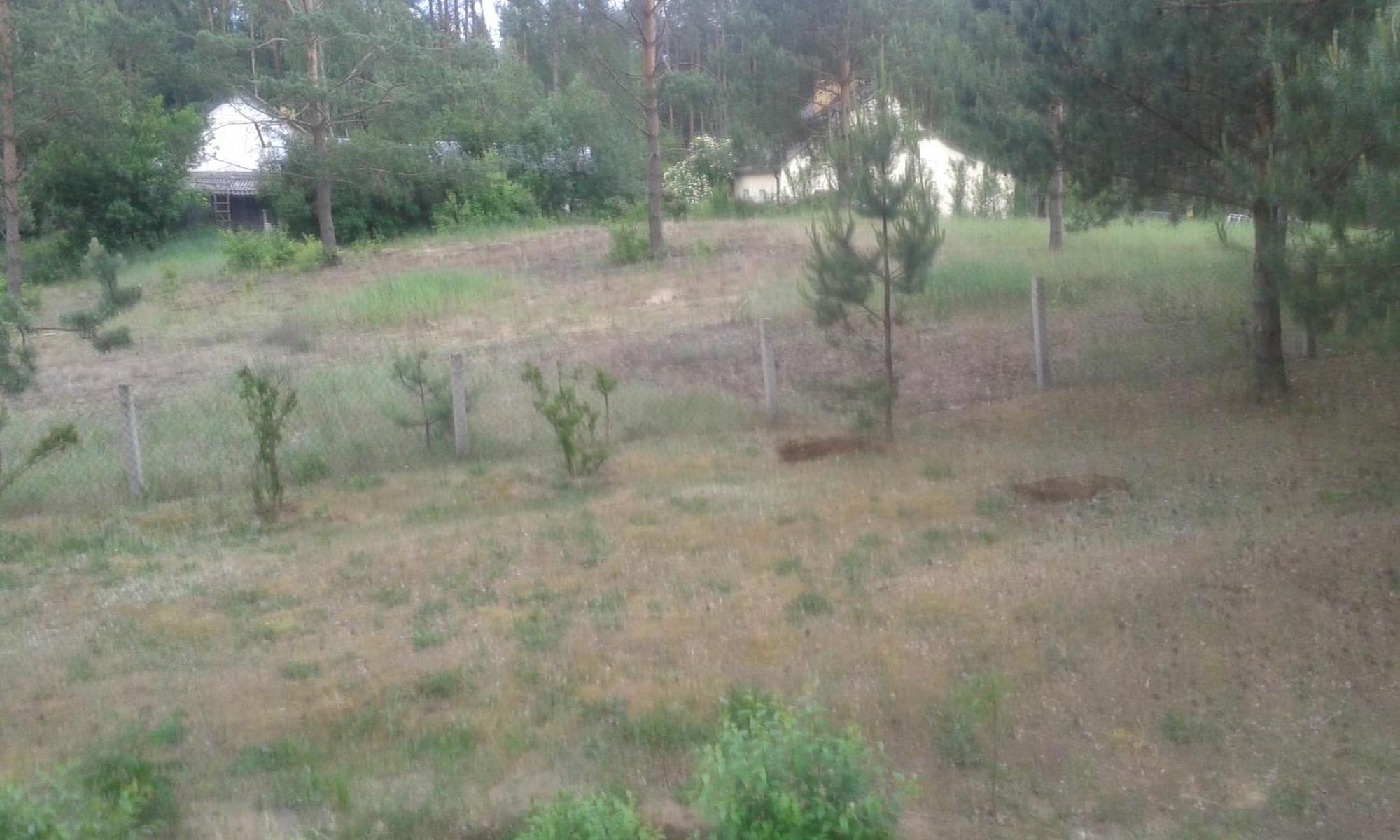 Domek Lesna Przystan Strekowizna Dış mekan fotoğraf